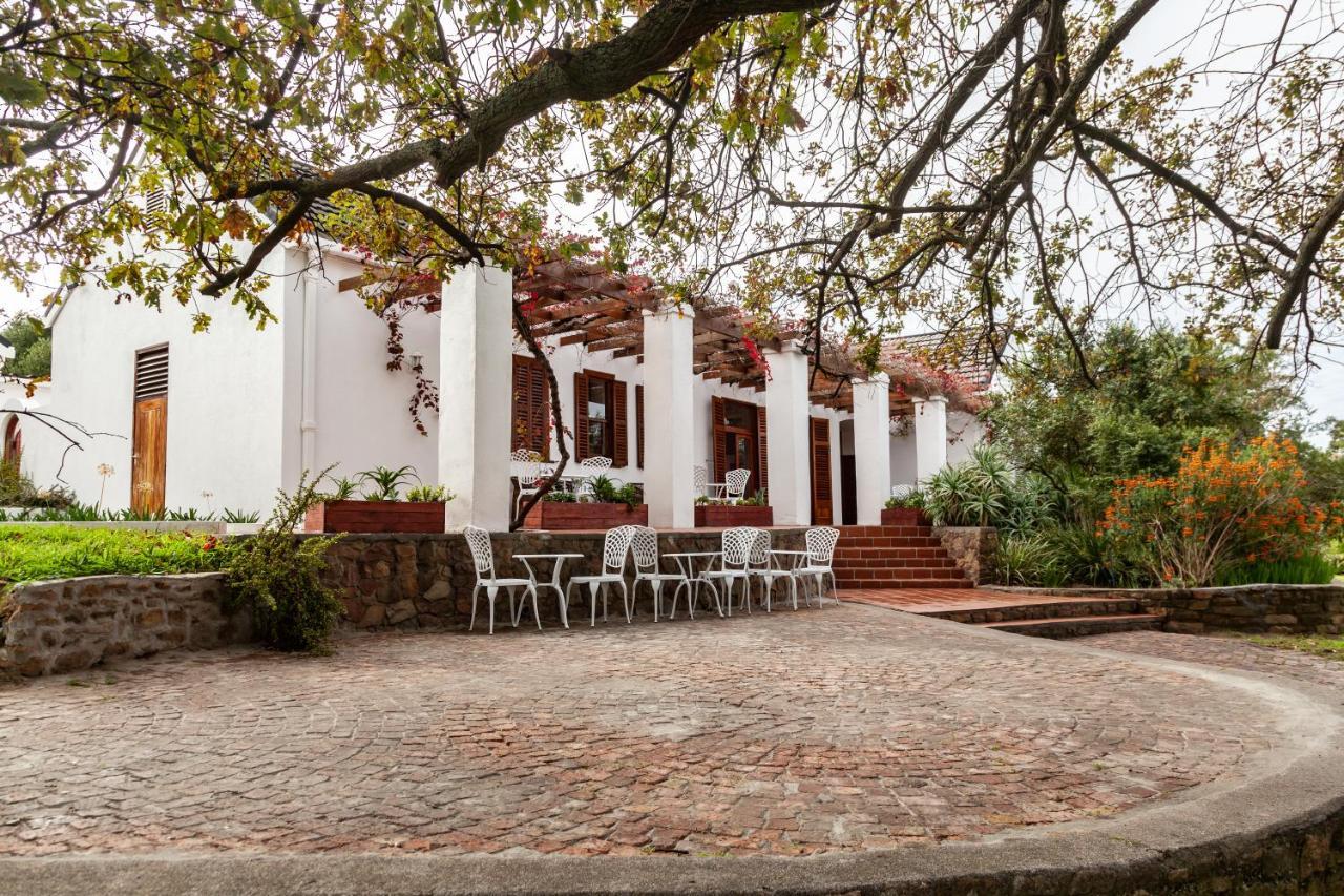 Ayama Wine Farm - Manor House Bed & Breakfast Wellington Ngoại thất bức ảnh