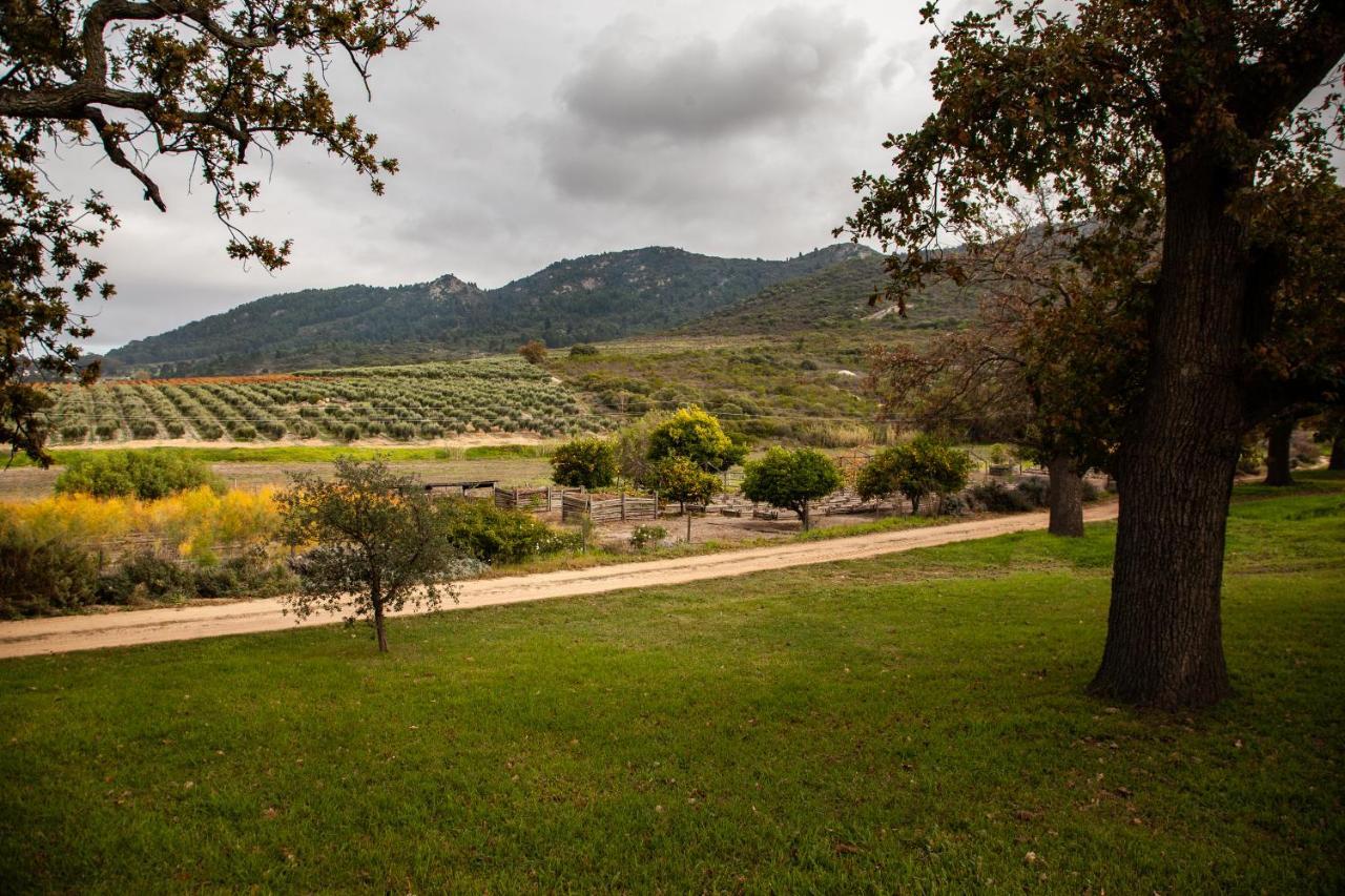 Ayama Wine Farm - Manor House Bed & Breakfast Wellington Ngoại thất bức ảnh