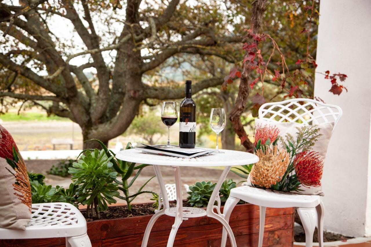 Ayama Wine Farm - Manor House Bed & Breakfast Wellington Ngoại thất bức ảnh